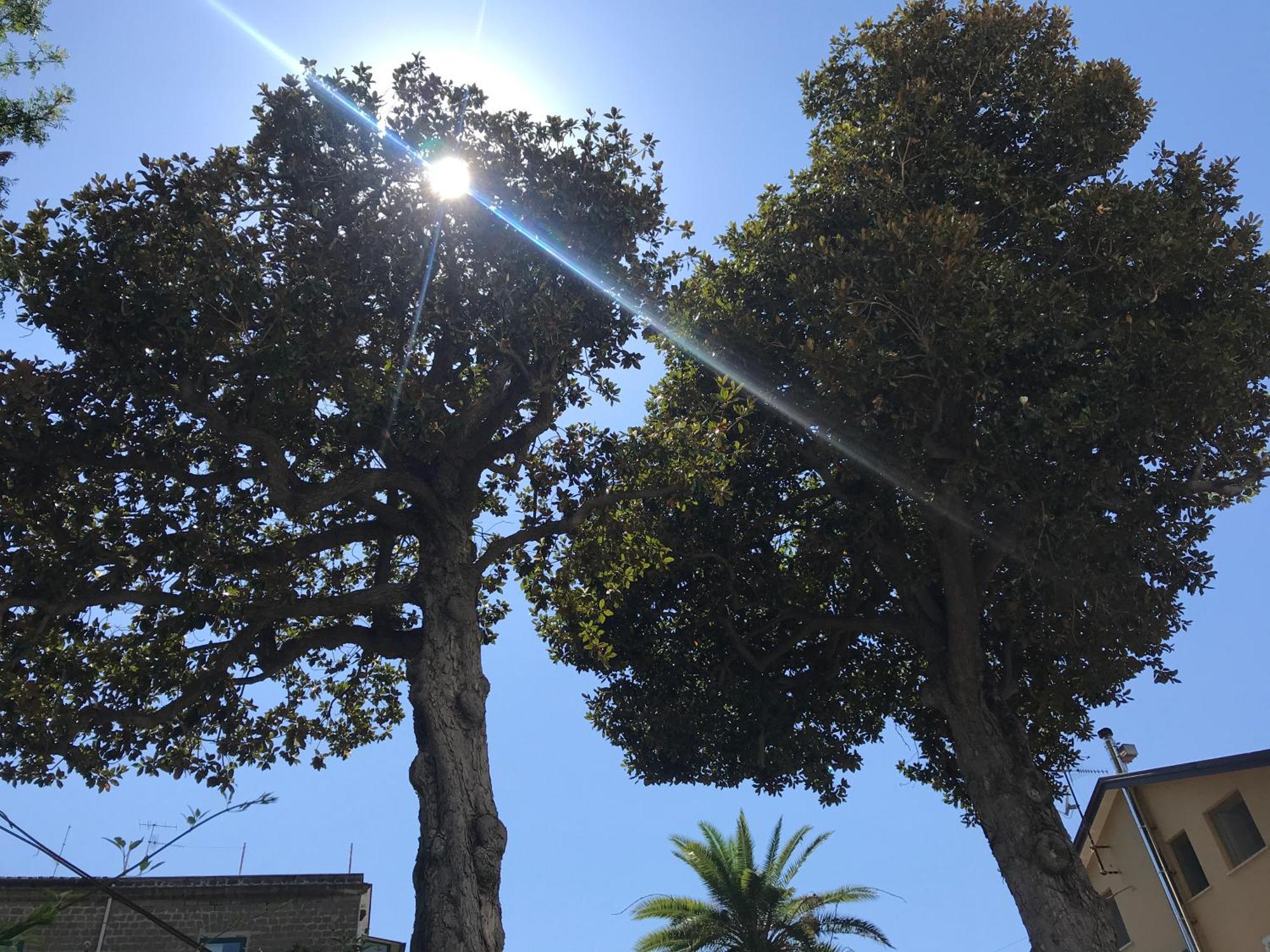 Villa Falconieri Sorrento Suite サンタニェッロ エクステリア 写真